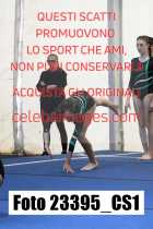 23395_CS1-