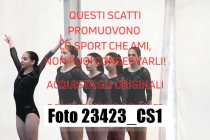 23423_CS1-