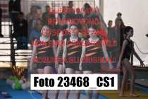 23468_CS1-