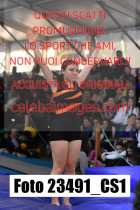 23491_CS1-