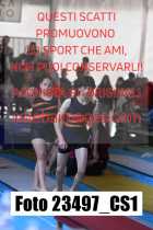 23497_CS1-