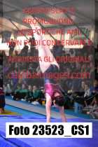 23523_CS1-