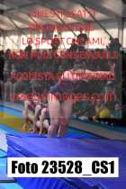 23528_CS1-