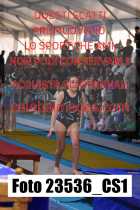23536_CS1-