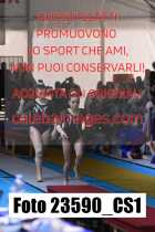 23590_CS1-