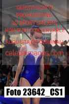 23642_CS1-