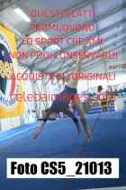 CS5_21013-