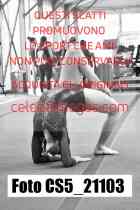 CS5_21103-