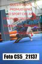 CS5_21137-