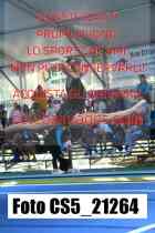CS5_21264-
