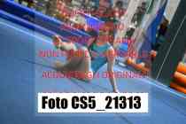 CS5_21313-