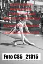 CS5_21315-