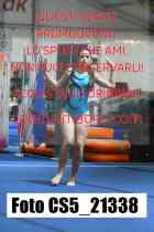 CS5_21338-