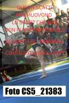 CS5_21383-