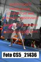 CS5_21436-