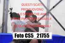 CS5_21755-