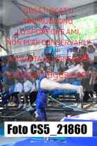CS5_21860-