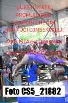 CS5_21882-