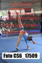CS6_17509-