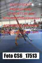 CS6_17513-