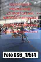 CS6_17514-