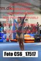 CS6_17517-