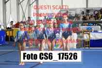CS6_17526-
