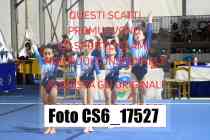 CS6_17527-