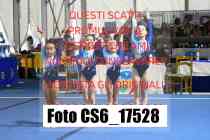 CS6_17528-