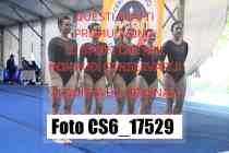 CS6_17529-