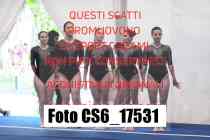 CS6_17531-