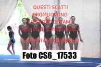 CS6_17533-