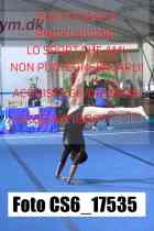 CS6_17535-