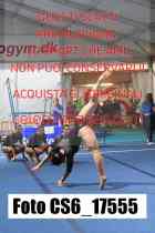 CS6_17555-