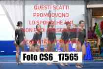 CS6_17565-