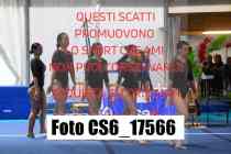 CS6_17566-