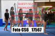 CS6_17567-