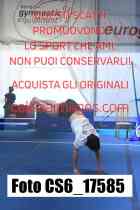 CS6_17585-