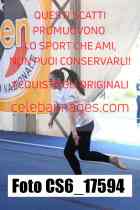 CS6_17594-