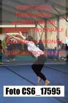 CS6_17595-
