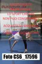 CS6_17596-