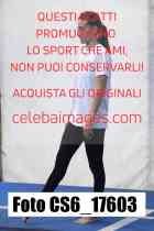 CS6_17603-