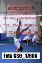 CS6_17606-