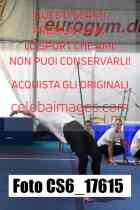 CS6_17615-