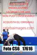 CS6_17616-