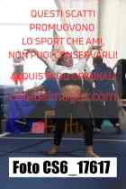 CS6_17617-