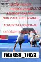 CS6_17623-