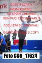 CS6_17624-