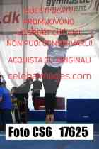 CS6_17625-