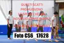 CS6_17628-